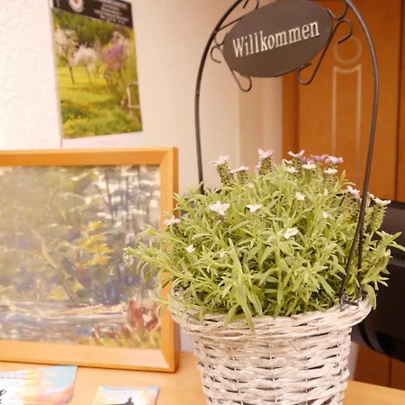 酒店 Garni-hotel Zum Alten Ratskeller 韦茨乔