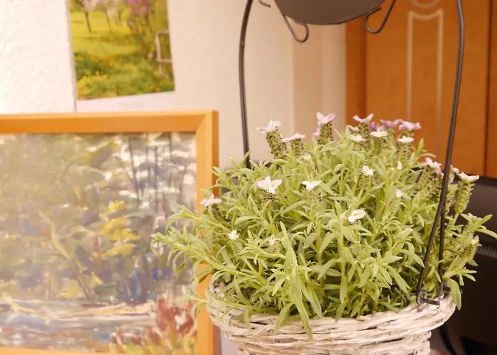 فندق Garni-hotel Zum Alten Ratskeller فتشاو